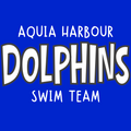 Dolphins Bold Tee