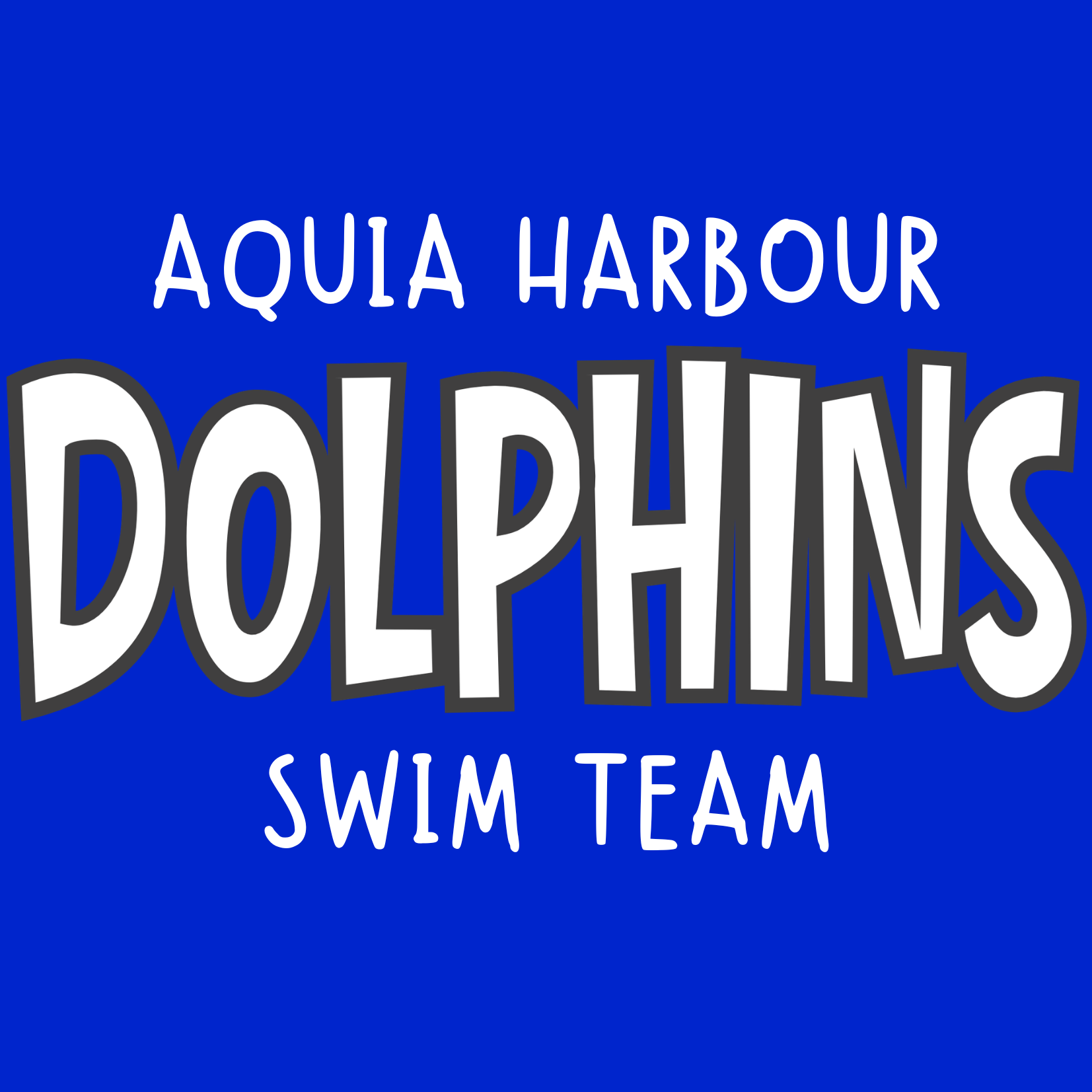 Dolphins Bold Tee