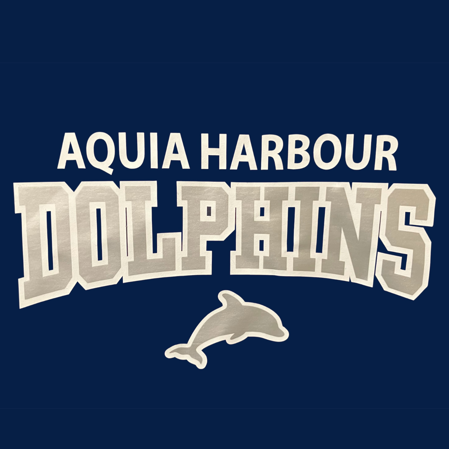 Dolphins Varsity Tee